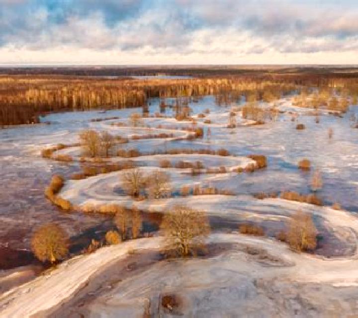 13 perfiles de escorts en Oscoda, Estados Unidos. Explora chicas, servicios, tarifas y reserva online. En domicilio y visita disponibles.