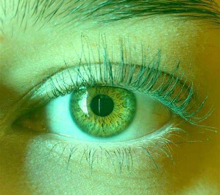 Aitana, 21, acompañante castaño claro de ojos verdes y etnia india basada en Tenaha. Ofrece Acompañante de viaje, BDSM, Chica de fiesta, Masaje erótico. Disp...