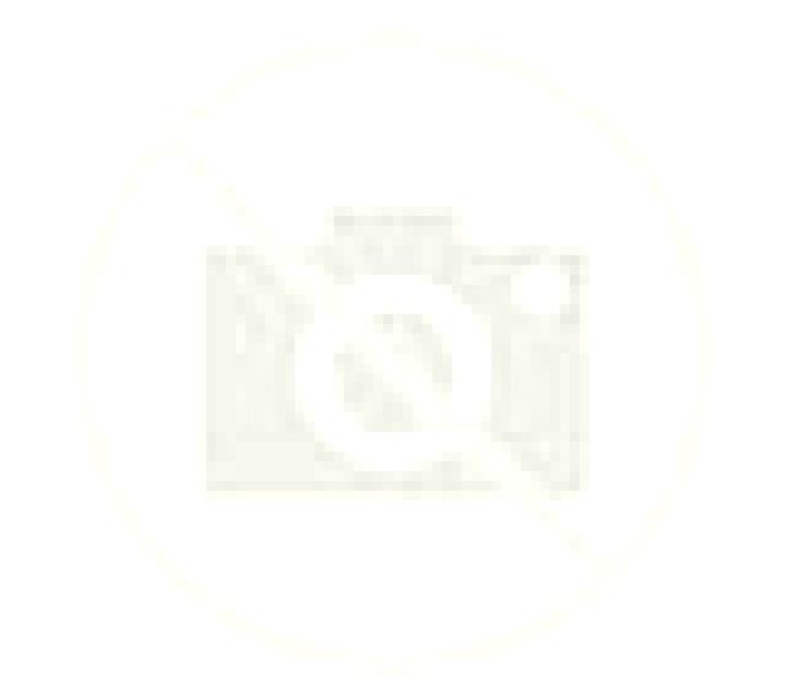 Alba, 21 — Escort en Kitagata, Japón