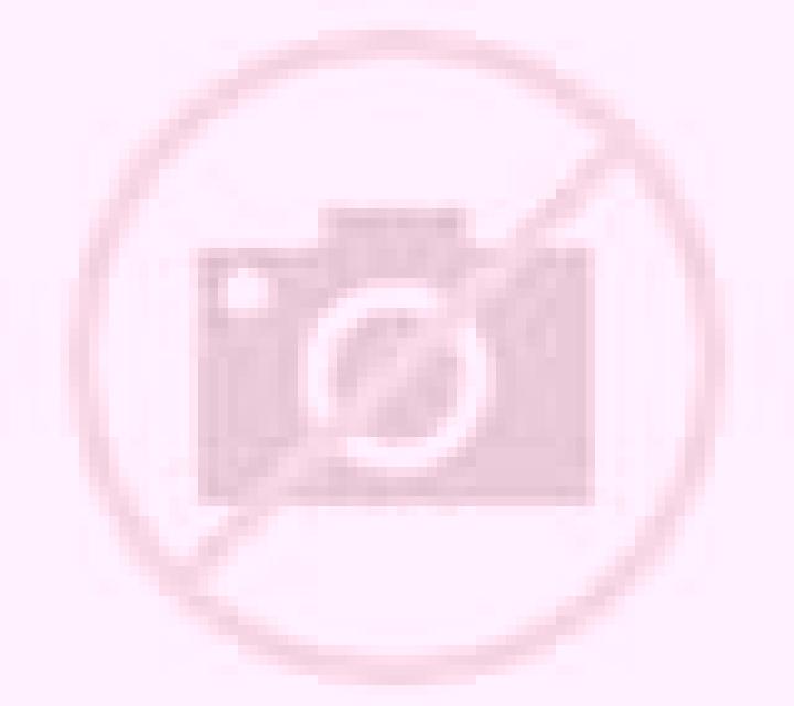 Alba, 37 — Escort en Libei, China
