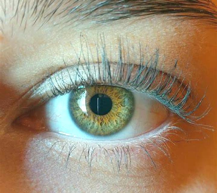 Alejandra, 21, acompañante negra de ojos avellana y etnia india basada en Pecan Grove. Ofrece Masaje, Striptease, Hasta el final (CIM). Disponible en domicil...