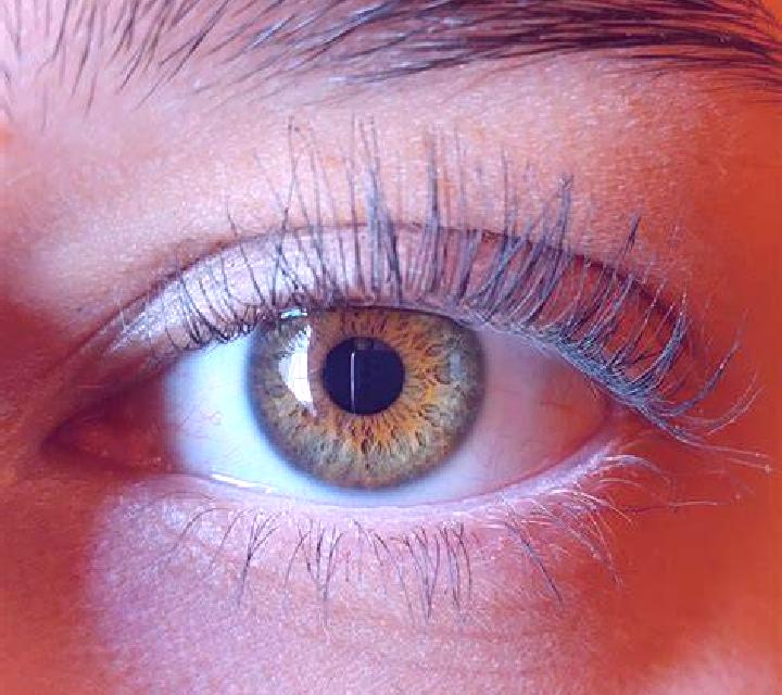 Alejandra, 28, acompañante negra de ojos avellana y etnia oriente medio basada en Bagnara di Romagna. Ofrece Masaje erótico, Cita de cena, Tríos / dúos, Masa...
