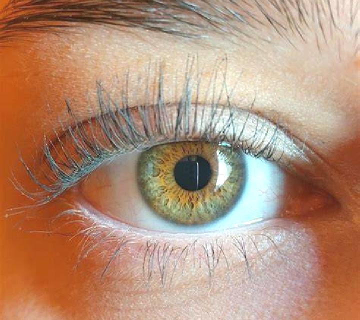 Andrea, 21, acompañante castaño claro de ojos azules y etnia asiática basada en Plerguer. Ofrece Noche completa, Chica de fiesta, Dominación, Tantra, Masaje ...