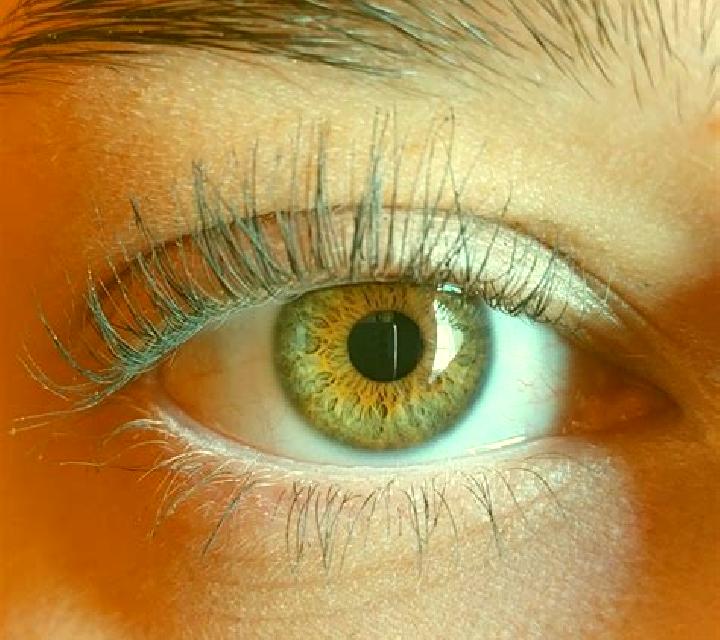 Antonella, 21, acompañante negra de ojos avellana y etnia india basada en Vrigny. Ofrece Striptease, Hasta el final (CIM), Noche completa, Francés natural. D...