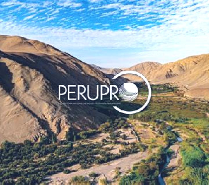 Aurora, 21 — Escort en Chilcaymarca, Perú