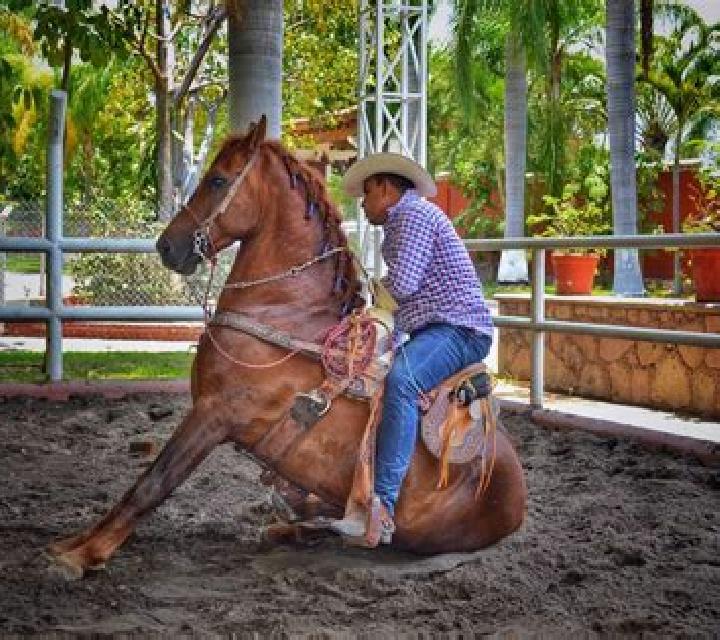 Aurora, 29 — Escort en Juliantla, México