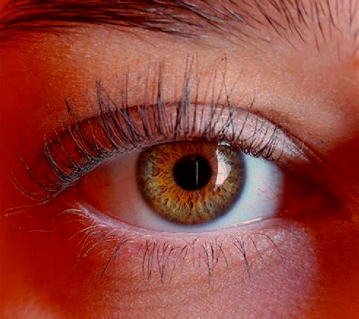 Aurora, 33, acompañante castaño claro de ojos avellana y etnia oriente medio basada en Arauquita. Ofrece Acompañante de viaje, Tríos / dúos, Hasta el final (...