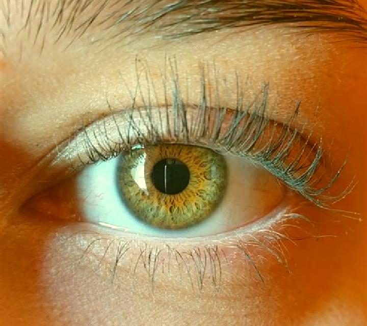 Aurora, 34, acompañante morena de ojos verdes y etnia india basada en Montegioco. Ofrece Masaje erótico, Francés natural, BDSM, Experiencia de novia, Tríos /...