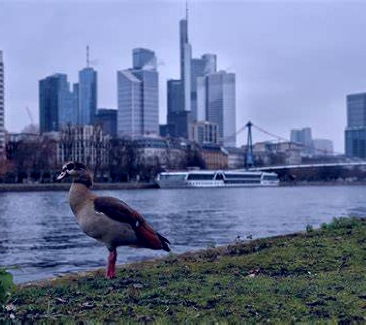 Beatriz, 26 — Escort en Frankfurt (Oder), Alemania