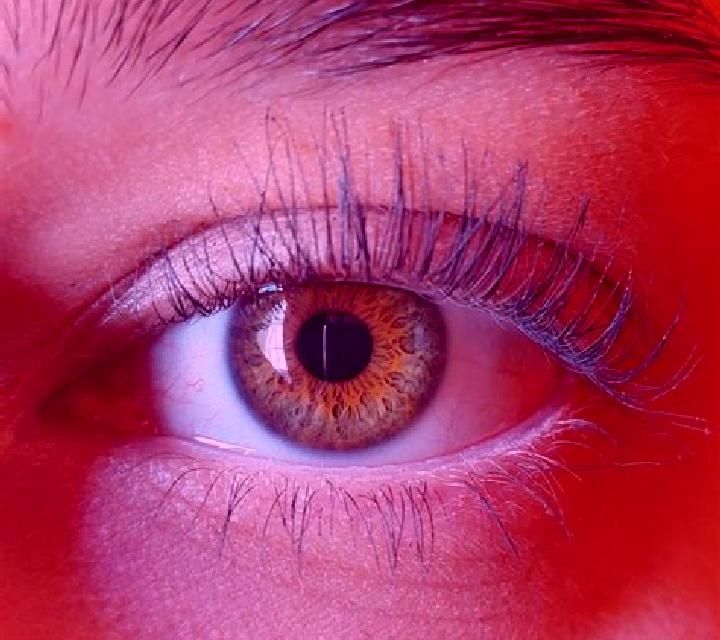 Beatriz, 33, acompañante negra de ojos verdes y etnia eslava basada en Objat. Ofrece Fetiche, Francés natural, BDSM, Masaje erótico. Disponible en domicilio ...