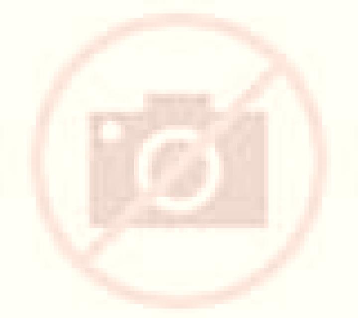 Beatriz, 37 — Escort en Coles, España