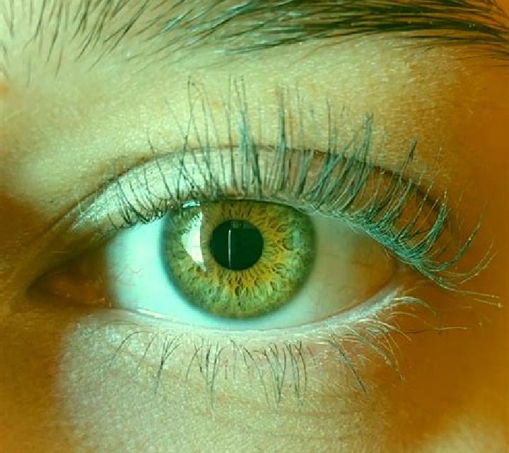 Bianca, 36, acompañante castaña de ojos azules y etnia eslava basada en Rovinj. Ofrece Francés natural, Hasta el final (CIM), Acompañante de viaje, Chica de ...