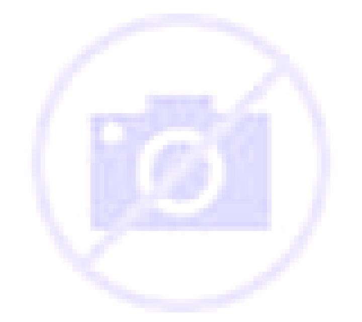 Blanca, 39 — Escort en Markvippach, Alemania