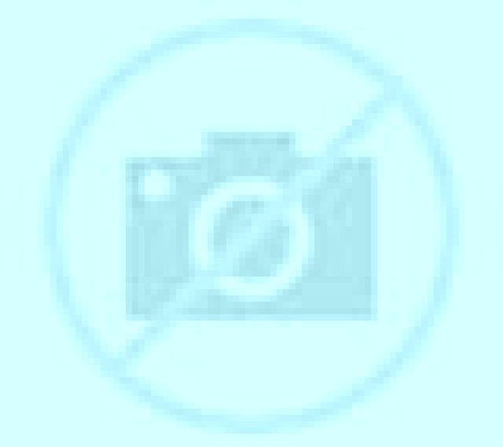 Camila, 38 — Escort en Puttalam, Sri Lanka
