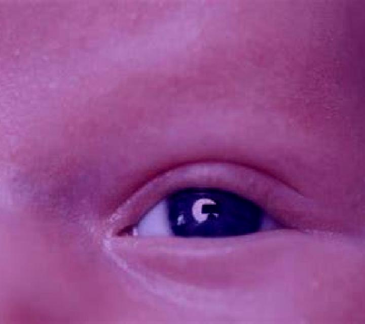 Carmen, 23, acompañante negra de ojos grises y etnia europea basada en Dalhem. Ofrece Experiencia de novia, Francés natural, Masaje. Disponible en domicilio ...