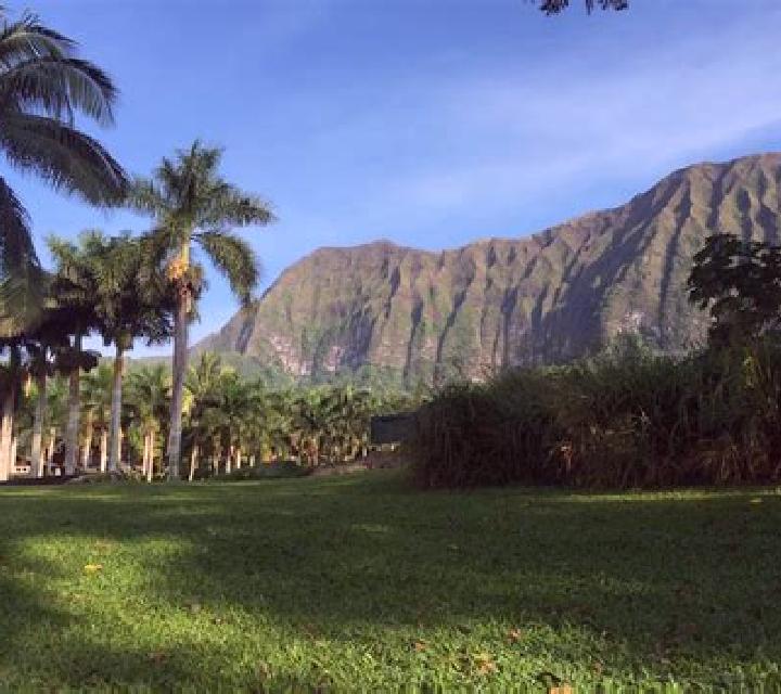 Carmen, 28, acompañante rubia de ojos grises y etnia latina basada en Bronte. Ofrece Acompañante de viaje, Tríos / dúos, Francés natural. Disponible en domic...