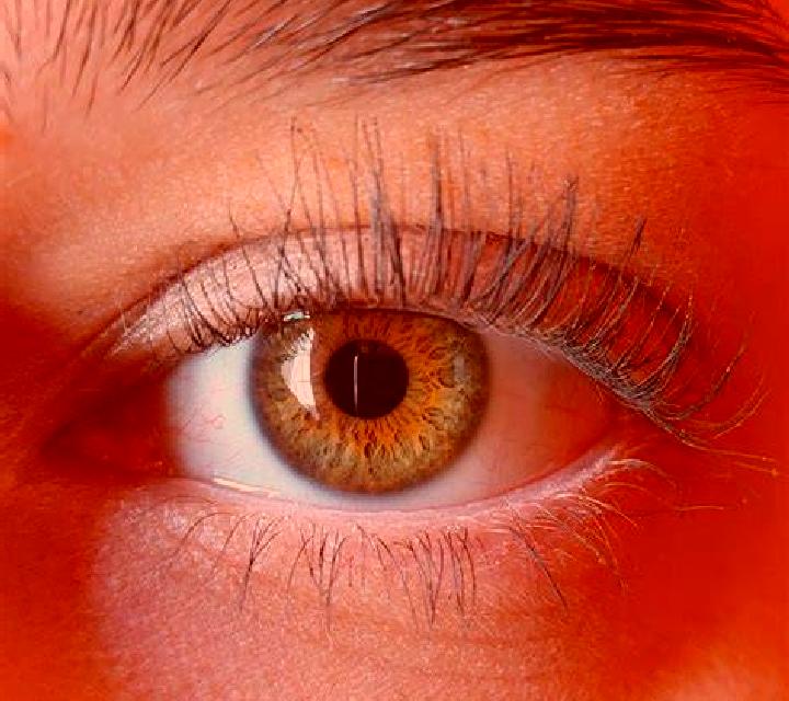 Carmen, 32, acompañante rubia platino de ojos grises y etnia caribeña basada en Bloho. Ofrece Fetiche, 69, GFE (Experiencia de novia), Tantra, Hasta el final...