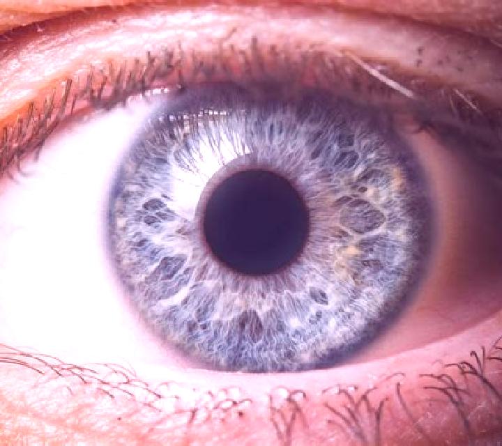 Cielo, 21, acompañante rubia de ojos grises y etnia europea basada en La Puye. Ofrece Beso francés profundo, GFE (Experiencia de novia), Tríos / dúos, Hasta ...