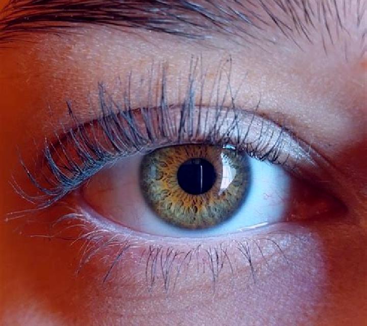 Cielo, 22, acompañante rubia de ojos avellana y etnia oriente medio basada en Leuterod. Ofrece Masaje de próstata, Masaje erótico, Hasta el final (CIM), Tant...