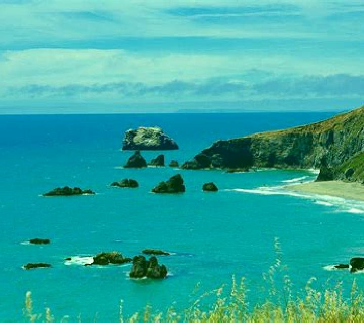 Cielo, 24 — Escort en Bodega Bay, Estados Unidos