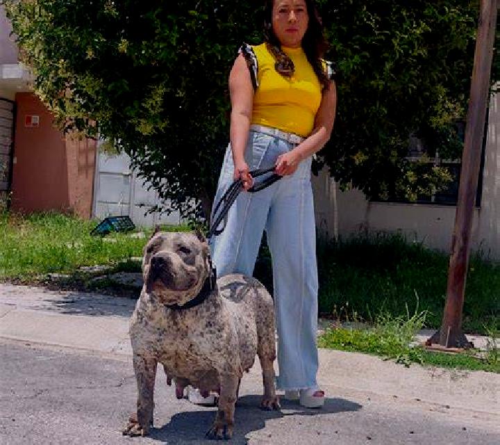 Cielo, 33, acompañante pelirroja de ojos azules y etnia mezcla basada en Athani. Ofrece 69, Chica de fiesta, Hasta el final (CIM), Tríos / dúos. Disponible e...