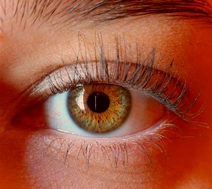 Cielo, 36, acompañante castaño claro de ojos avellana y etnia negra basada en Goeltepesi. Ofrece Masaje de próstata, 69, Tríos / dúos. Disponible en domicili...