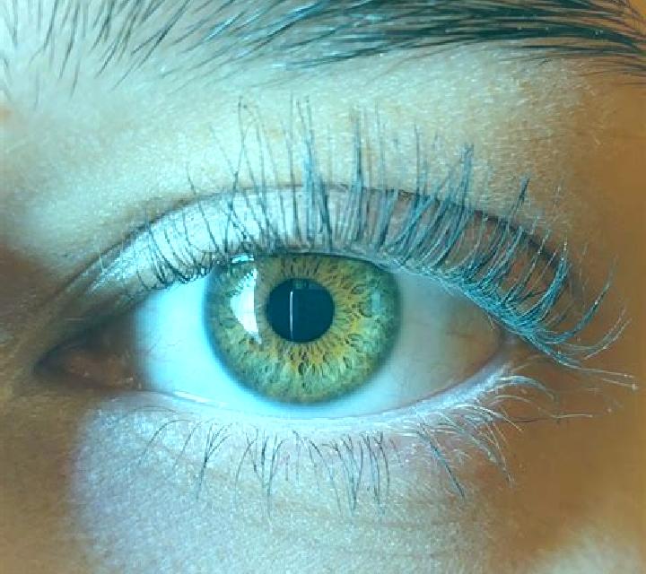 Cielo, 37, acompañante castaña de ojos verdes y etnia caucásica basada en Hamm (Sieg). Ofrece Striptease, Griego (anal), Parejas. Disponible en domicilio y v...