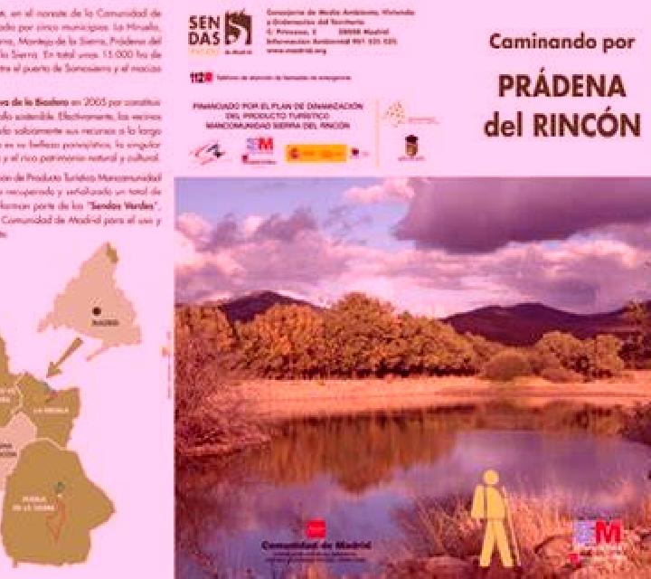 Cielo, 38, acompañante castaña de ojos verdes y etnia caucásica basada en Frieschepalen. Ofrece Experiencia de novia, Dominación, Juego de roles, Francés nat...