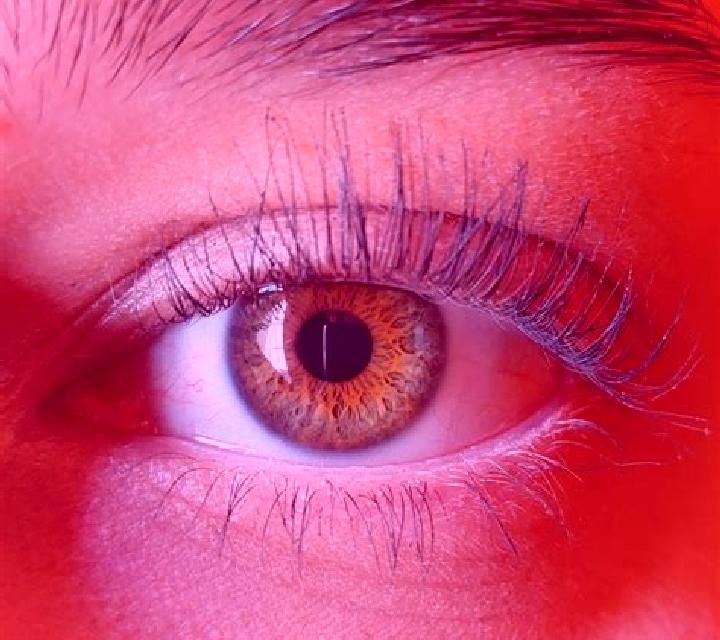 Daniela, 23, acompañante rubia de ojos avellana y etnia caucásica basada en Berlim. Ofrece Fetiche, Hasta el final (CIM), Striptease. Disponible en domicilio...