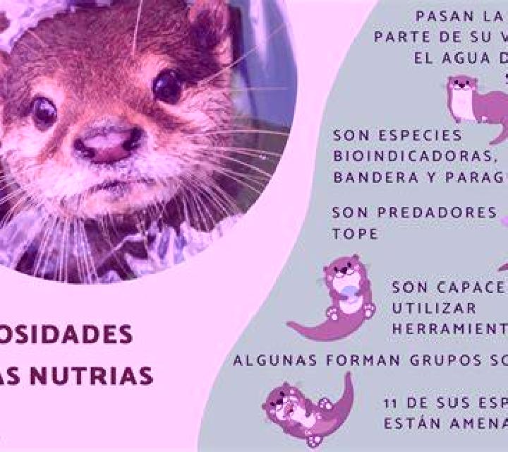 Daniela, 25, acompañante castaño claro de ojos azules y etnia mezcla basada en El Damo. Ofrece Francés natural, Experiencia de novia, Striptease, Griego (ana...