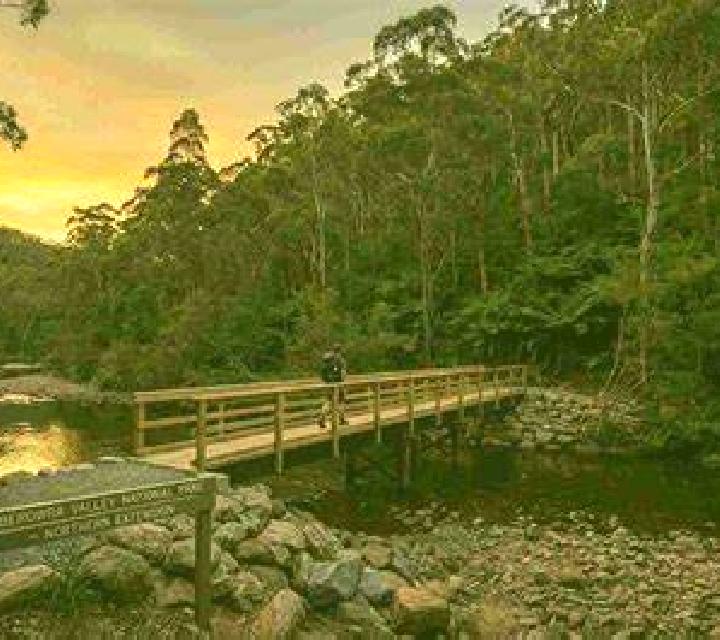 Daniela, 28 — Escort en Mount Colah, Australia