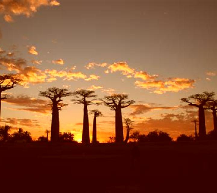 Daniela, 28 — Escort en Nandihizana, Madagascar