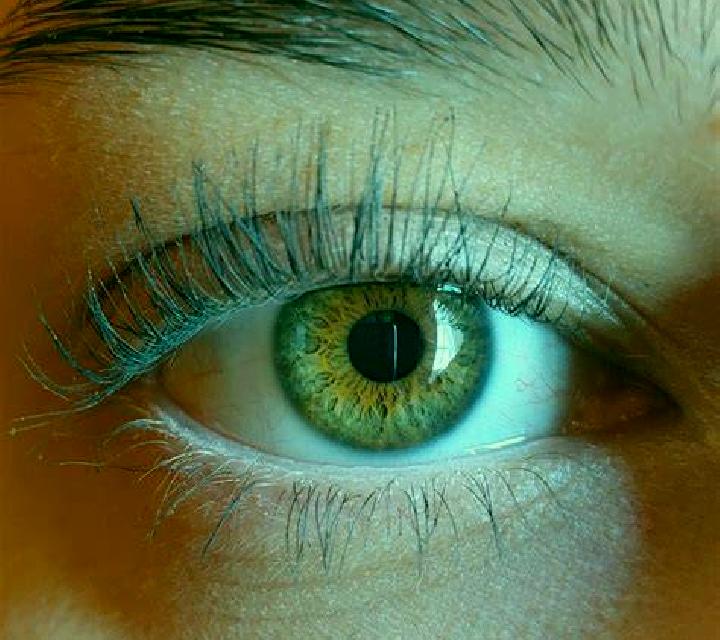 Daniela, 29, acompañante rubia platino de ojos verdes y etnia mediterránea basada en Kondorobango. Ofrece Francés natural, Masaje, Dominación, BDSM. Disponib...