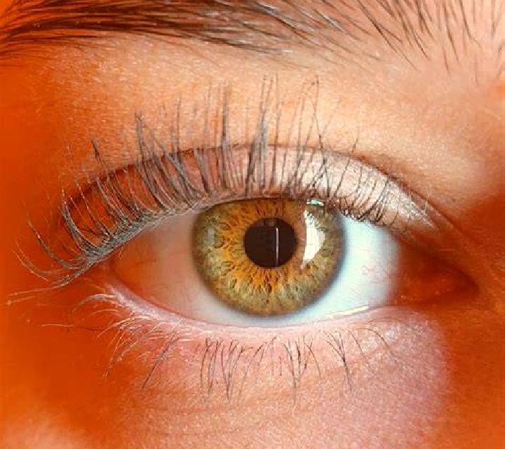 Daniela, 30, acompañante rubia de ojos avellana y etnia oriente medio basada en Yanxia. Ofrece Parejas, Fetiche, Dominación, Masaje. Disponible en domicilio ...