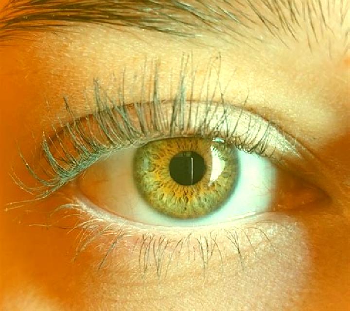 Daniela, 31, acompañante pelirroja de ojos avellana y etnia latina basada en Bocicau. Ofrece Acompañante de viaje, Beso francés profundo, Chica de fiesta. Di...