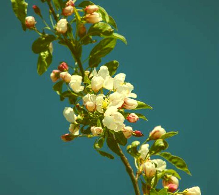 Daniela, 32, acompañante rubia de ojos azules y etnia caucásica basada en Miory. Ofrece Cita de cena, Fetiche, Dominación, Masaje. Disponible en domicilio y ...