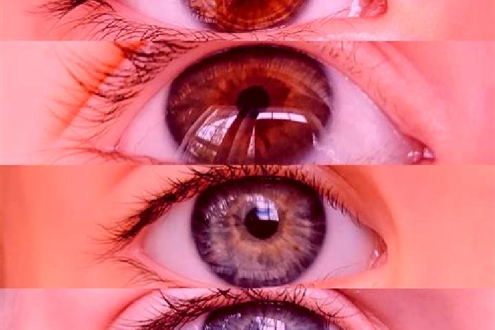 Diana, 20, acompañante castaño claro de ojos grises y etnia asiática basada en Bandung. Ofrece Masaje erótico, Noche completa, Cita de cena, Francés natural....