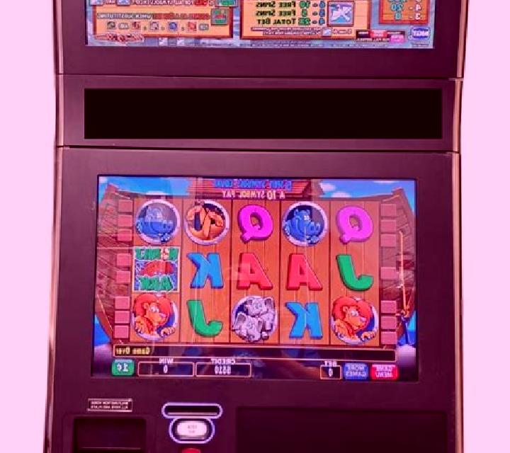 escort Acatlan