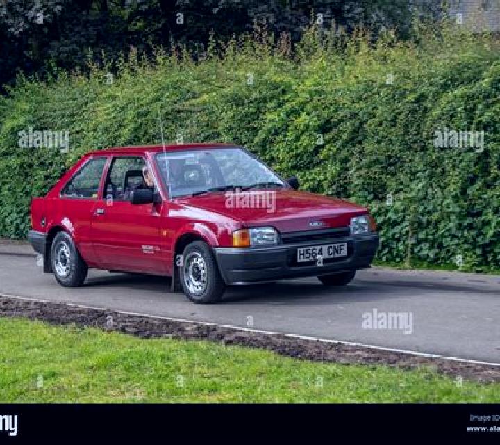 escort Agordo