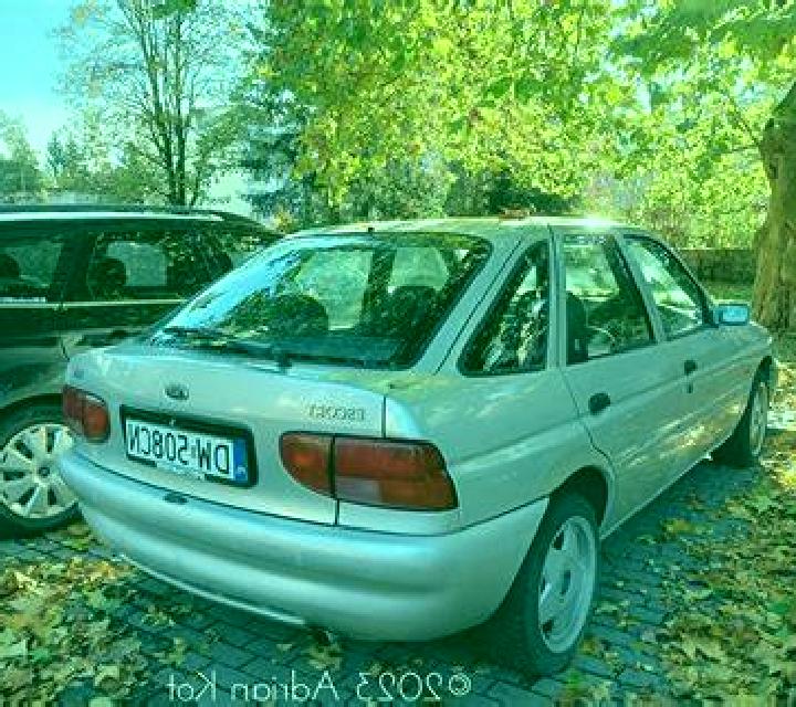escort Albaida