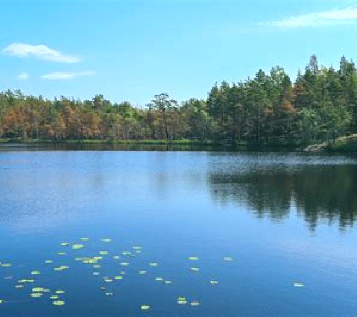 escort Ames Lake
