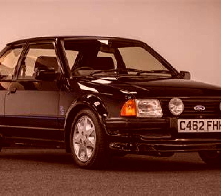 escort Amory