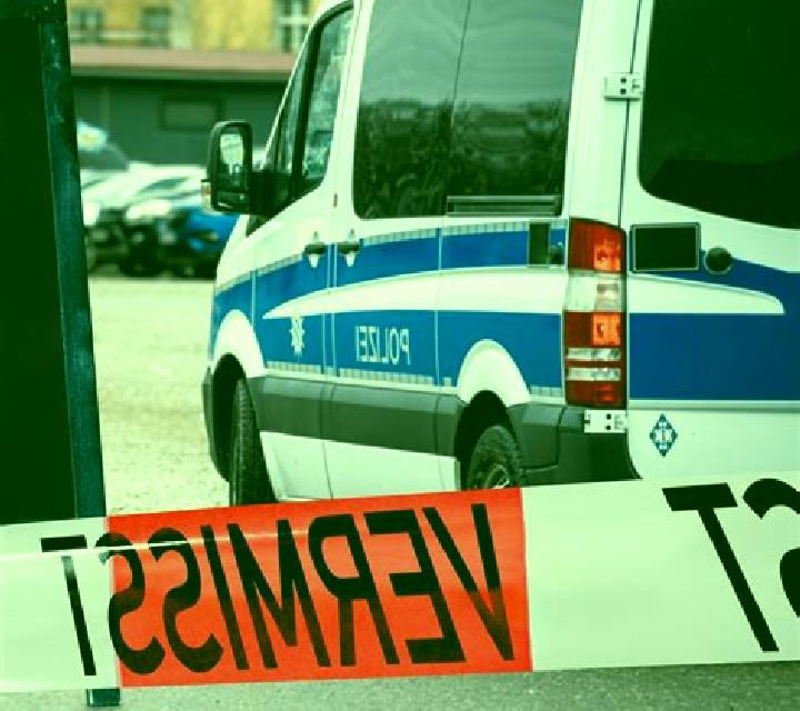 escort Anoeta