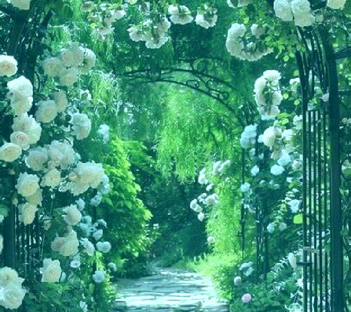 escort Archway