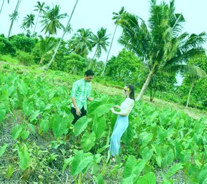 escort Asau Village