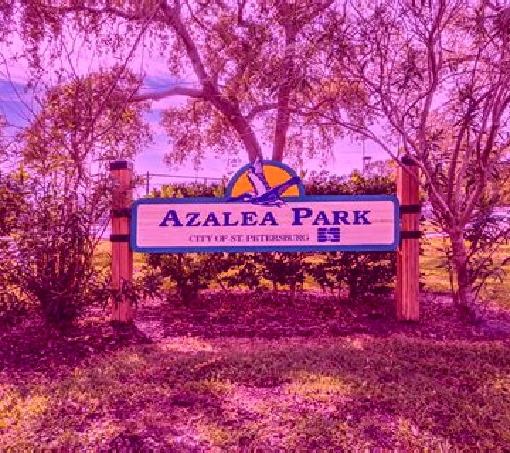escort Azalea Park