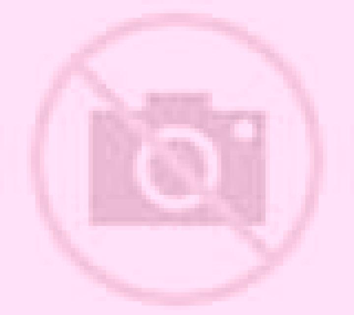 escort Ban Bang Decha