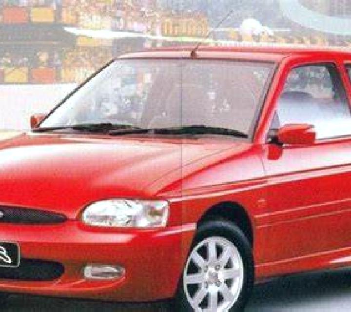 escort Bangert