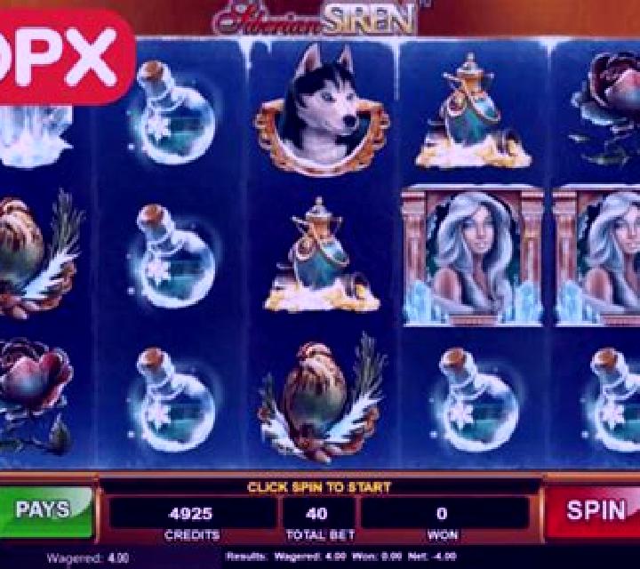 escort Baxter Springs