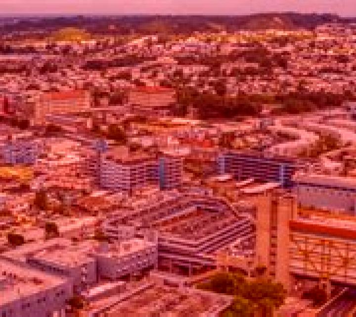 escort Bayamon